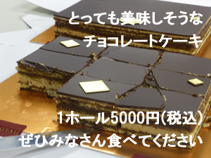 チョコレートケーキ5000円